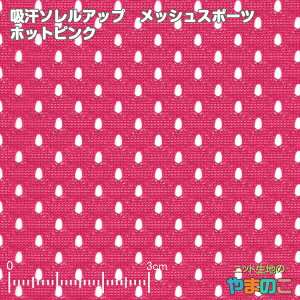 yGg[3ȏP10{Izu[֑Ήvz\Abv bVX|[c zbgsNujbg nvuzvubVnv