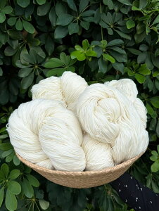 уmE[100%E[100%Ȃ̂ɃXgb`fނ̂悤ȃLbNobN iLkjƌyA_炩Aӂ 􂤂ƂŖcŁA҂ݖڂ肵YɎdオ܂BiȃI