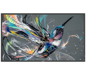 55BDL3511Q/11�@55�C���`4K�Ɩ��p��^�f�B�X�v���C�y�t�B���b�v�X�z