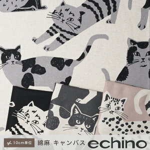 y10cmPʁzD]ɂē echino NekoNoe G`m lR catcat n Ȗ LoX 10cmP Jbg̔  nhCh 110cm 啿  | CeA G ݃J[ i`