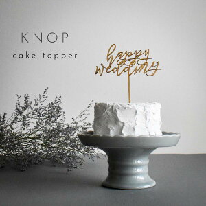 KNOP yؐ@P[Lgbp[@happy weddingz@@EFfBO@uC_@EGfBOP[L@fR[V@A@EFJXy[X@j@K[h@vw@L