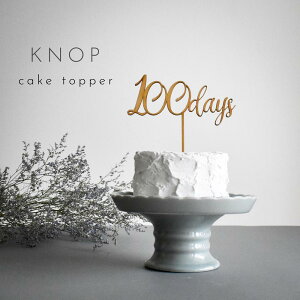 KNOP yؐ@P[Lgbp[ 100daysz@100@H߁@n[to[Xf[ a@o[Xf[ Ԃ@qǂ@߂ā@LO@fR[V@j@K[h@LOʐ^