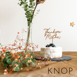 KNOP yؐ@thankyou mother@P[Lgbp[z ̓@}}@I[ig@J[l[V@@p[eB[@G݁@j@K[h@LOʐ^@e[uR[fBl[g@