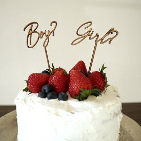 KNOP【Boy? Girl? ジェンダーリビールケーキトッパー 】new born　ニューボーン　誕生日　バースデー　パーティー　サプライズ　装飾　パーティー　海外　ナチュラル　インスタ　記念撮影　photo　バースデー　ベビーシャワー