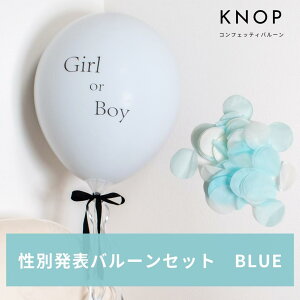 KNOP yWF_[r[o[set u[ zʕ񍐃o[ o[ ̎q D xr[V[  ʔ\ j TvCY RtFbeBo[ Cxg