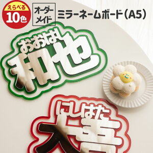 オシピ 【選べる10色・名入れ】 アクリルミラーネームボード A5サイズ対応 推し活グッズ 韓国語対応 ライブ うちわ風 オーダー制 ギフト