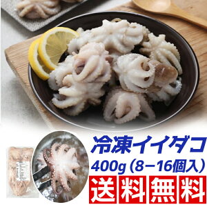 xgiYⓀCC_R400g(8-16j/ς oŎg₷ ^R  