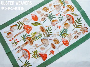 ͗XւŁI AX^[EB[o[Y MUSHROOM ̂ Lb`^I Rbg Lb`NX 킢  ^yXg[ V eB[^I ̓ v[g CMXG݁@