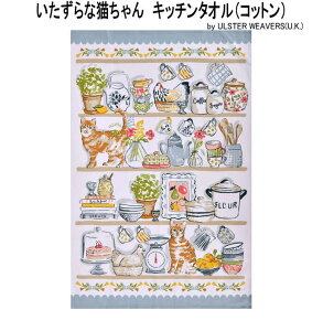 ͗XւŁI AX^[EB[o[Y Lb`^I Lb`̂˂ L cat Lb`  킢  fUC eB[^I ̓ v[g ^yXg[ Ce