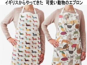 yX[p[sale艿izMARY KILVERT Gv ۈm 킢  or lR ybg t[TCY Rbg Lb`ACe fB[X JtFGv p ̓  G Lb