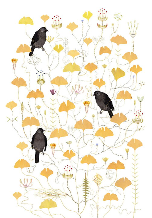 楽天市場 ポスター 北欧 草木の標本 ポスター ボタニカル アート Crow Tree カラスが止まる木 50x70cm 北欧ポスター からす かわいい おしゃれ インテリア タペストリー 新生活 模様替え 北欧雑貨 スウェーデン ノッティング ワールド 輸入雑貨店