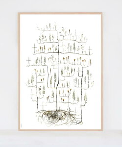 |X^[ k ؂̕W{ {^jJ A[g MOTH TREE  50x70cm k|X^[@킢  CeA IWi V ^yXg[ kG XEF[f fUCi[i