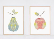 ポスター 北欧　草木の標本 ボタニカル アート APPLE OR PEARS りんご OR 洋梨 50x70cm 北欧ポスター お…