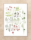 ポスター 北欧 草木の標本 アート FORREST TREE 観葉植物 サイズ 50x70cm アート おしゃれ インテリア タペストリー 新生活 デザイン 部屋　模様替え ナチュラル 高級感 壁かけ 素材 北欧雑貨