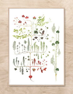 |X^[ k ؂̕W{ A[g|X^[ FORREST TREE k̐X ϗtA TCY 50x70cm A[g  CeA ^yXg[ V fUC @͗lւ i`  ǂ 