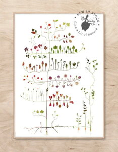 |X^[ k ؂̕W{ GARDEN TREE ̖ TCY 50x70cm A[g|X^[  CeA ^yXg[ V fUC @͗lւ i`  ǂ f kG