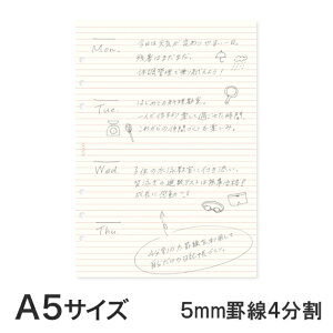 yA5TCYz胊tBF5mmr4 80 ( KNOX mbNX VXe蒠 蒠  XPW[ [Y[t 6tB tB 6 r tB 蒠tB g rm[g 
