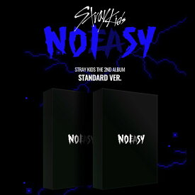 安心・迅速の日本国内発送 2nd Full Album NOEASY STANDARD VER. B TYPE Stray Kids straykids ストレイキッズ スキズ アルバム cd バージョン選択