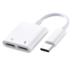 Type-C+Type-C 2in1ϊCzWbN }[dʘb\y 16bit/48KHz Hi-Fi Cz[d Rʘb Android/iPad/iPadPro /iphone15/16V[Y windowsȂǋ@ɓKp