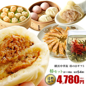 母の日 ギフト グルメ 食べ物 カーネーションカード メッセージカード 送料無料 送料込み ギフトセット 2021 惣菜 中華 詰め合わせ お取り寄せグルメ 人気 中華点心 中華惣菜 椿セット 全11種54個