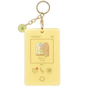 TGbNX@݂R炵@J[hP[XLbg@CG[