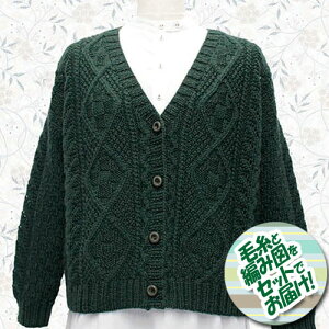 XL[(A) @P[ũJ[fBK@Zbgit[14ʁEҐ}j