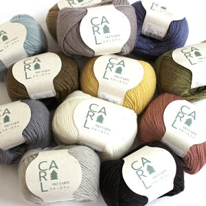 スキー 毛糸(元廣) スキー カラル