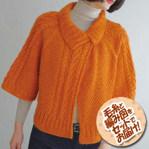 XL[(A) @{^V[gJ[fBK@ZbgiNA11ʁEҐ}j