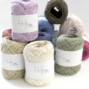 XL[ юiAj XL[ Ƒ߂̃Rbg