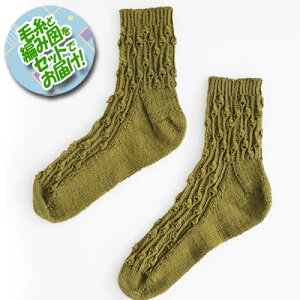 _}icj \bNX@Zbgi[X20@2ʁEҐ}j