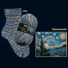 【100g巻】Opal（オパール）　毛糸　Vincent van Gogh (ヴィンセント・ヴァン・ゴッホ) 5435番色　星月夜