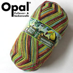 【100g巻】Opal（オパール）　毛糸　Regenwald19（レーゲンヴァルト19） 4ply　11334番色