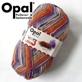 【100g巻】Opal（オパール）　毛糸　Sweet＆Spicy（スイート＆スパイシー）9121番色