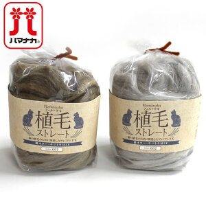 n}iJ ArуtFg AуXg[g LJ[