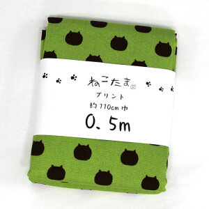 ˂܁@L@JbgNX@IbNXn@NTSC-1B ܂@110cm×50cmiJbgς݁j