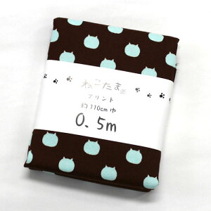 ˂܁@L@JbgNX@IbNXn@NTSC-1D `R~g@110cm×50cmiJbgς݁j