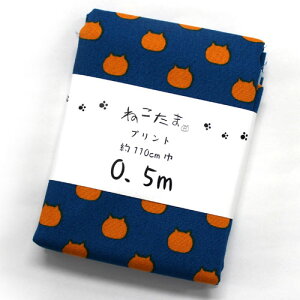 ˂܁@L@JbgNX@IbNXn@NTSC-1E ݂@110cm×50cmiJbgς݁j