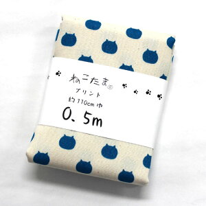 ˂܁@L@JbgNX@IbNXn@NTSC-1G \[_@110cm×50cmiJbgς݁j