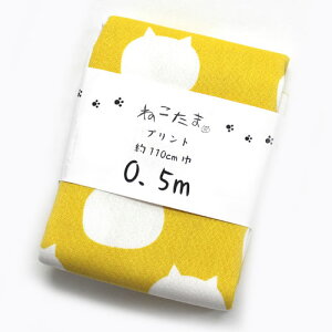 ˂܁@L@zJbgNX@NTSC-8A pCibv@110cm×50cmiJbgς݁j