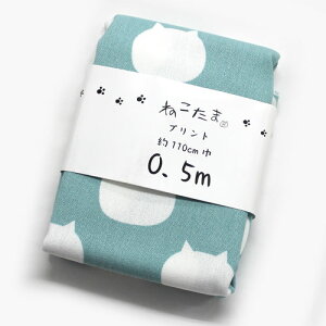 ˂܁@L@zJbgNX@NTSC-8B N[\[_@110cm×50cmiJbgς݁j