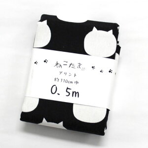 ˂܁@L@zJbgNX@NTSC-8F ܂@110cm×50cmiJbgς݁j