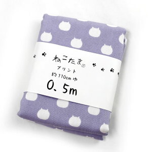 ˂܁@L@JbgNX@IbNXn@NTSC-1J@O[v@110cm×50cmiJbgς݁j