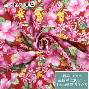 y30cmi3jzKathy Mom(LV[})@vAnCrXJX@3ԁ@110cm@10cmPʐ؂蔄@100n