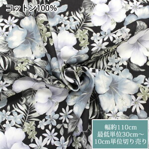y30cmi3jzKathy Mom(LV[})@vAnCrXJX@5ԁ@110cm@10cmPʐ؂蔄@100n