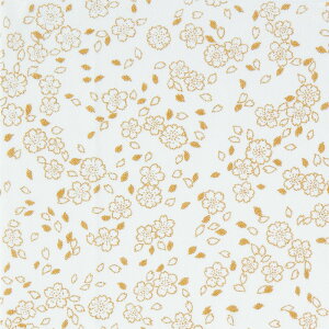 IpX@Ԃʂ肦@jiJbgςݐnj