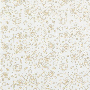 IpX@Ԃʂ肦@ԌiJbgςݐnj