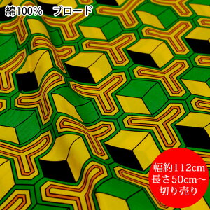 y{E100zu[h@a@n@΁E@Tb͗l@112cm@50cmPʐ؂蔄