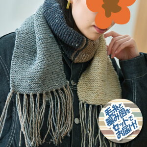 n}iJ 4Fg̃K[^[҂݃}t[@ZbgiAcB[hv4ʁEҐ}j