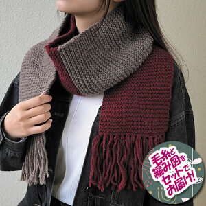 n}iJ@c[gJ[̃K[^[҂݃}t[@ZbgiYNu}X^[v4ʁEҐ}j