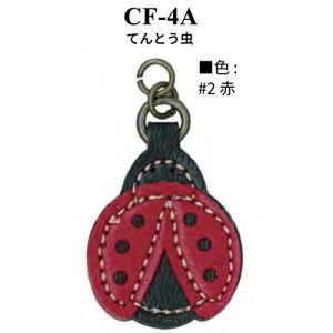 CiY}@vp[c@t@Xi[@ĂƂ@CF-4A